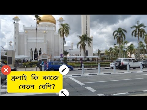 Brunei Work;permit 2022।How to Get Brunei Work bisa in 2022। Travel to Brunei