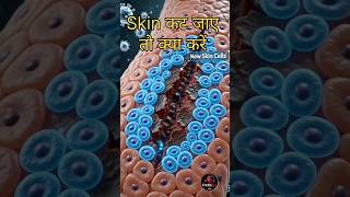 कट लगते ही खून अपने आप बंद कैसे हो जाता है? | Blood Clotting Explained in Hindi | CardioNex Academy