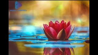 dygta kesepian lirik ( cover) by tereza