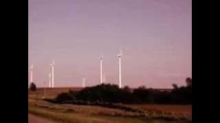 bardo pond tantric porno