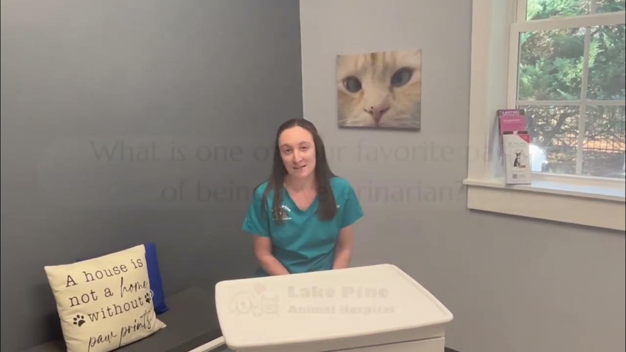 Dr megan smith lake pine animal hospital youtube