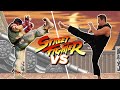 Martial Arts Experts Recreate Moves From Street Fighter