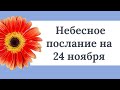 Небесное послание на 24 ноября. Возьмите под контроль свои мысли.