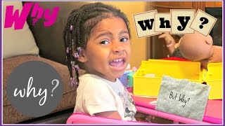 Toddler Asking why for 3 minutes straight !