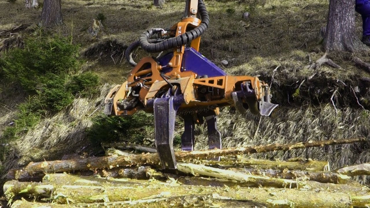 TST 60H Timbernator Processor stacking - Sortieren