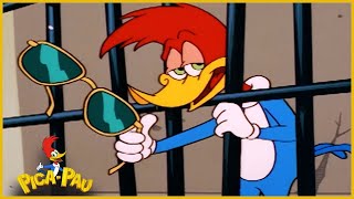 Pau em Portugu s TV a Cabo Episodio Completo de Pica Pau Desenhos Animados