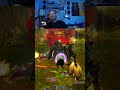Some run of the mill highlights. It gets dark at the end though. #worldofwarcraft #streamhighlights