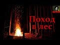 Истории на ночь - Поход в лес