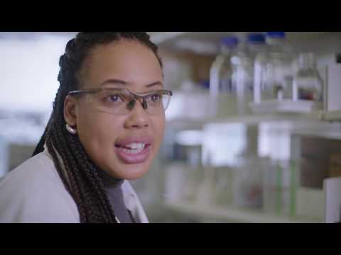 Video: Cum se folosește cromatografia?