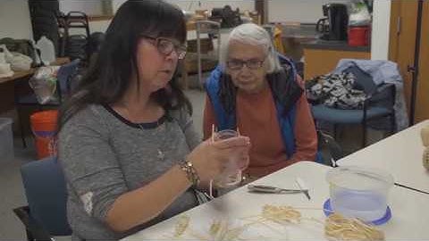 Learn Spruce-Root Weaving 1: Starting a Basket