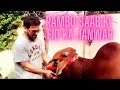 Rambo Saab Ki Eid Ki Qurbani Ka Janwar | Jan Rambo In Mandi | Jan Rambo