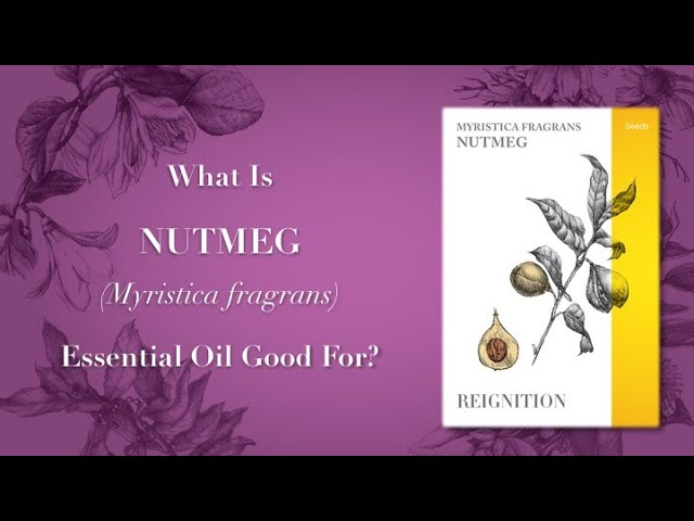 What is Nutmeg Essential Oil Good For?