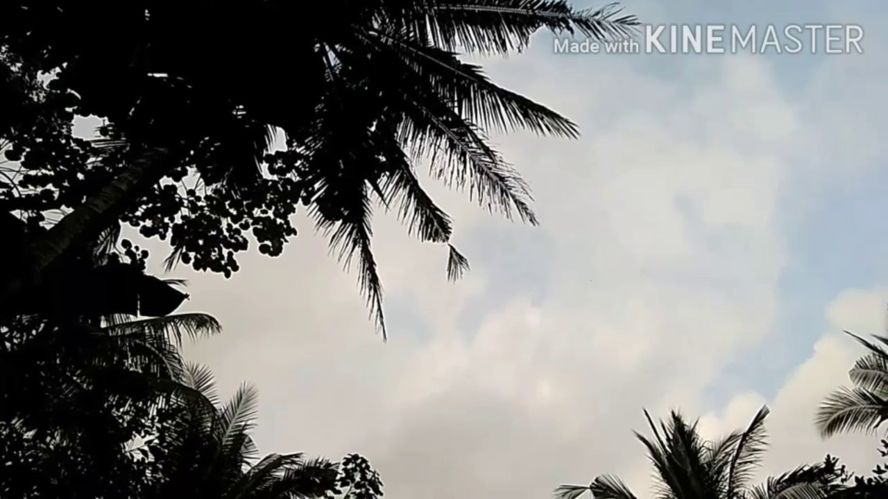 Untuk Kalian yang Sedang Berjuang - YouTube