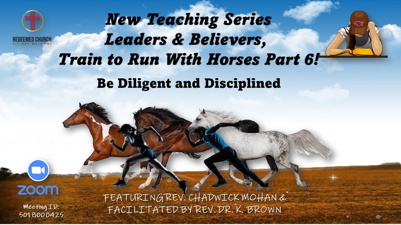 Ttiu Leadership Training with Horses pt 5 - YouTube