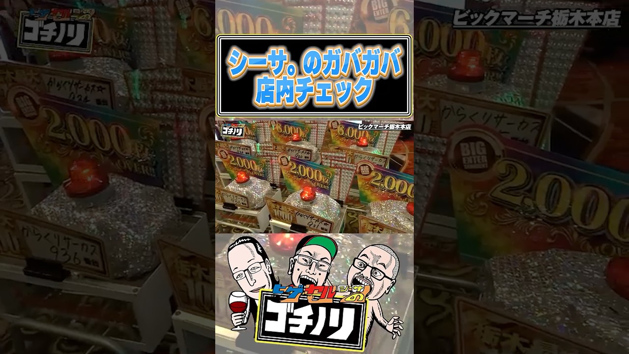【キャラ崩壊】シーサ。の店内チェックがヤバい #シーサ。#ゴチノリ #厳選