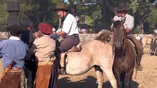 Festa dos Hermãos - Tradição, amizade e gauchismo. Baita festa!!!