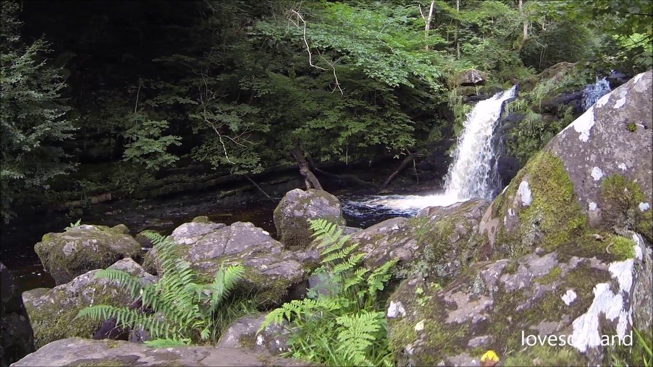 Campsie Glen Waterfalls Relaxing Walk Sounds Of Nature Youtube