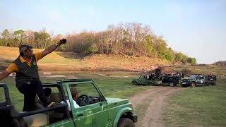 Satpura national park morning Safari in Gypsy