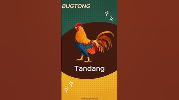 Bugtong Bugtong | Filipino Riddles  #quiz #riddles #brainout #bugtong #puzzle #bugtungan #palaisipan
