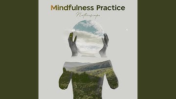 Visualising Stimulate