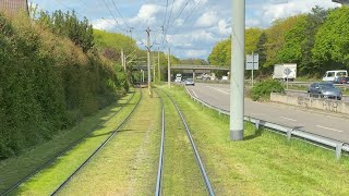 Mit der 🚋 Straßenbahn durch ❤️￼Freiburg 🍀 grüne Stadt, rasen auf Linie1 frisch geschnitten,🌞￼￼￼￼￼