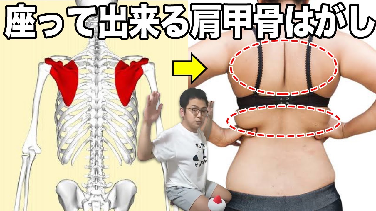 ダイエット 3日で肩の肉を落とす簡単筋トレで痩せ見えしよう的youtube视频效果分析报告 Noxinfluencer