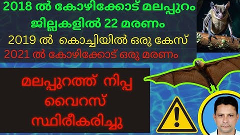 നിപ വൈറസ് രോഗത്തെ എങ്ങനെ തടയാം ? | nipa fever | nipah virus prevention malayalam |നിപാ പനി പ്രതിരോധം