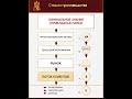 Стадии производства | Как устроен рынок бизнеса | Олег Мальцев