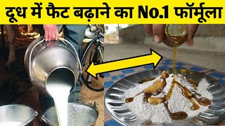 गाय/भैंस के दूध में फैट कैसे बढ़ाए |Doodh me fat kaise bdhaye|How to increase fat in cow/buffalo milk