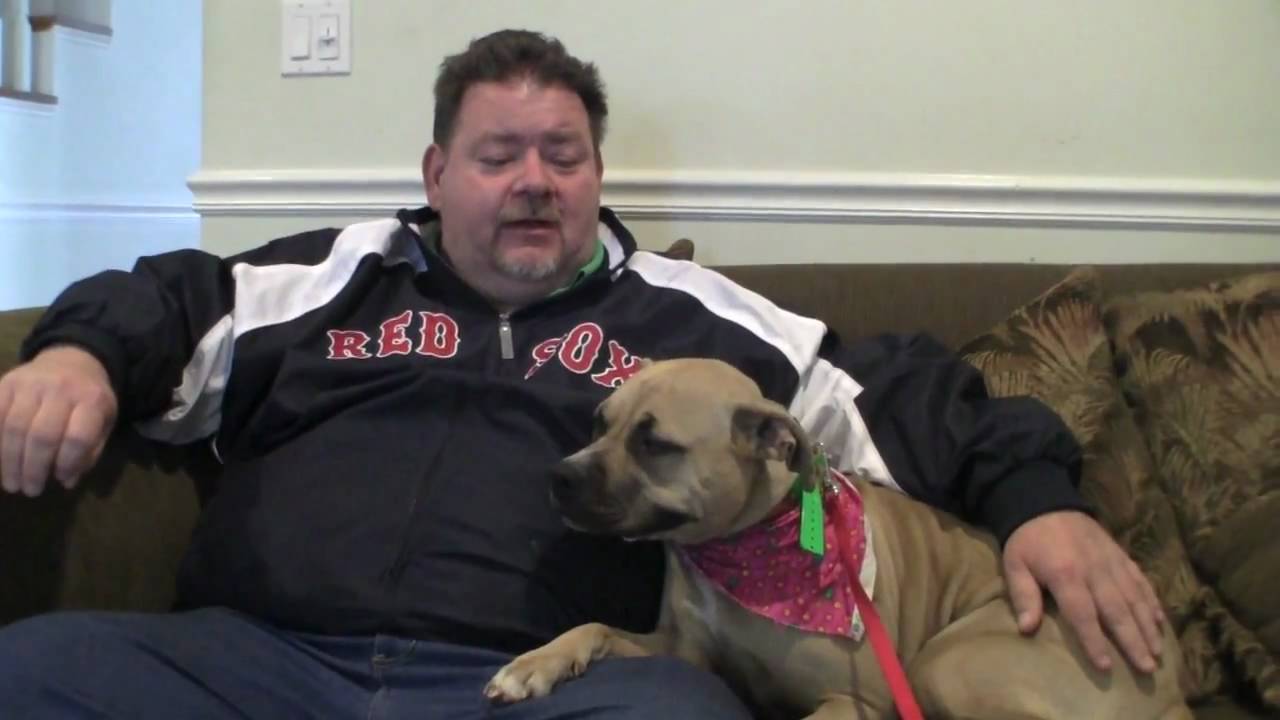 DOG TRAINING AN AGGRESSIVE DOG - YouTube