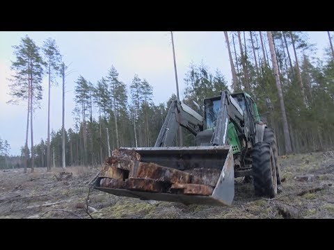 Video: Sešas Lietas, Kas Jāzina Pirms Ceļojuma Uz Lietusmežu - Matador Tīkls