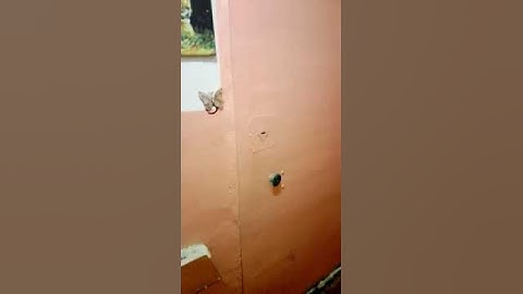 Нежданчик застали врасплох