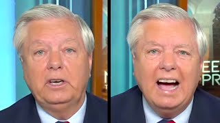 Lindsey Graham Throws Hissy Fit After Getting FACT-CHECKED