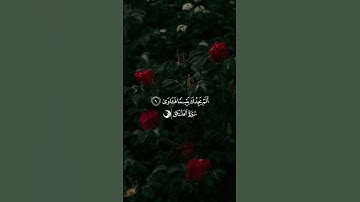 سورة الضحى بصوت الشيخ ماهر المعيقلي #ماهر_المعيقلي #اكسبلور_فولو