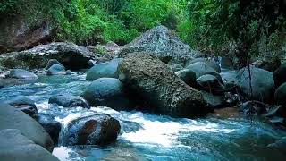 Nature river relaxing sounds for relax and sleep well positive energy and meditation