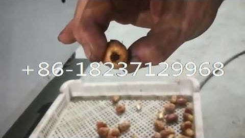 commercial jujube seed olive core remove separating machine dates deseeding coring pitting machine