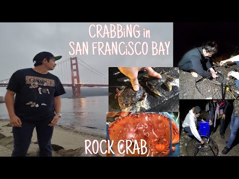 Video: San Francisco Bay sa Dagat ng California