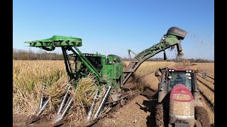 John Deere CH960 2 Row Cane Combine Prototype 4K