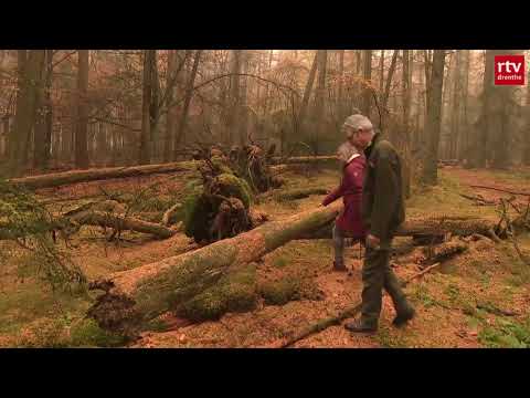 Video: Gang Van Die Natuur