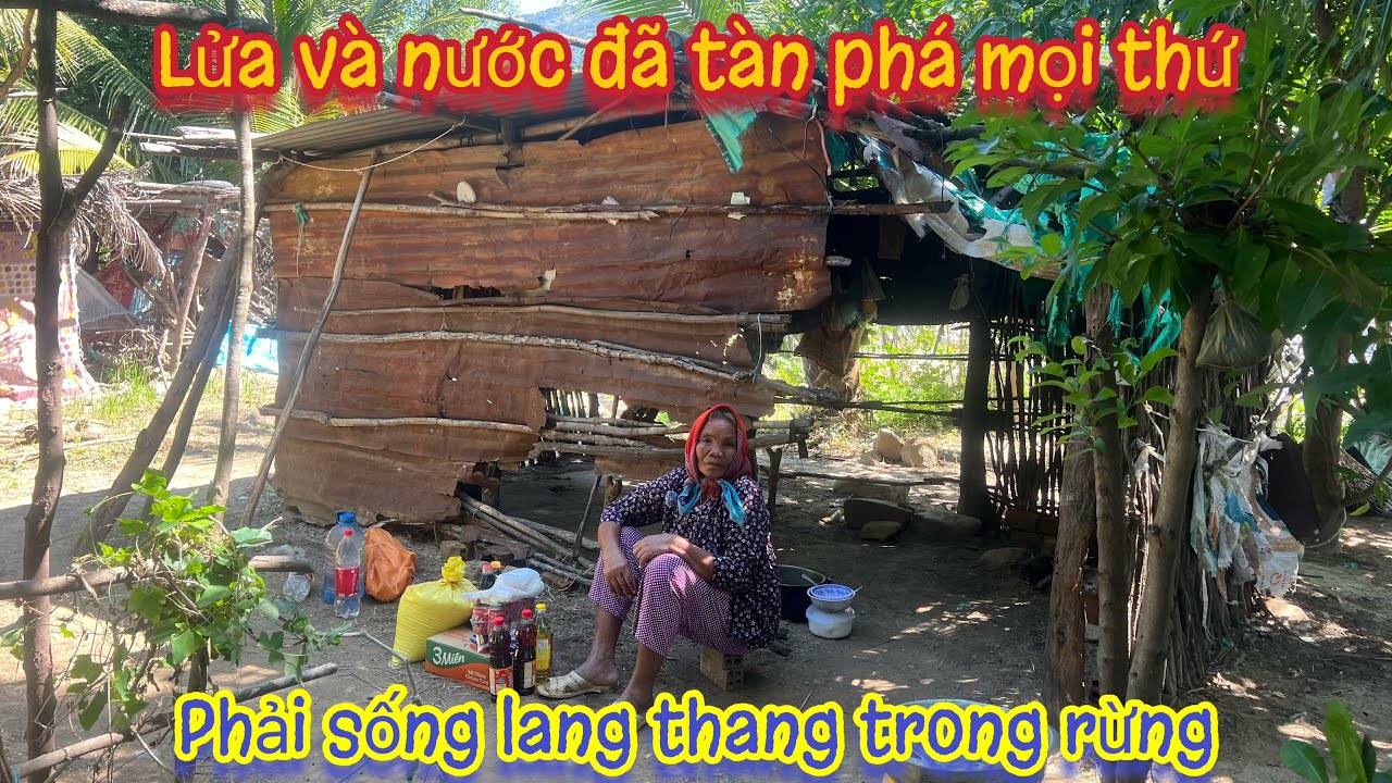 Sống trong CĂN CHÒI RÁCH NÁT cụ bà phải sống lang thang trong rừng. Tập 583