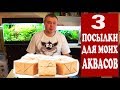 Три посылки из Китая для моих аквасов. Анбокс и обзор