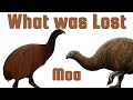 Moa - The Giant Flightless Birds of New Zealand - What Was Lost Ep.15