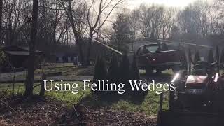 2 Diesel Trucks Vs Tree