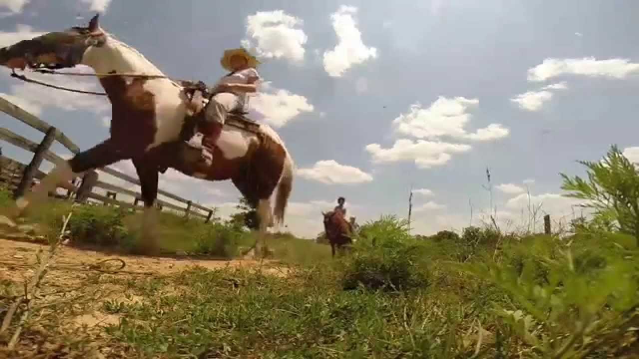 Little Big Horse Trails