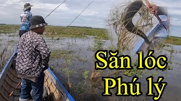Săn cá lóc ở phú lý @ÔNG3BỰ #video câu cá lóc #clip săn cá lóc #lurefishing