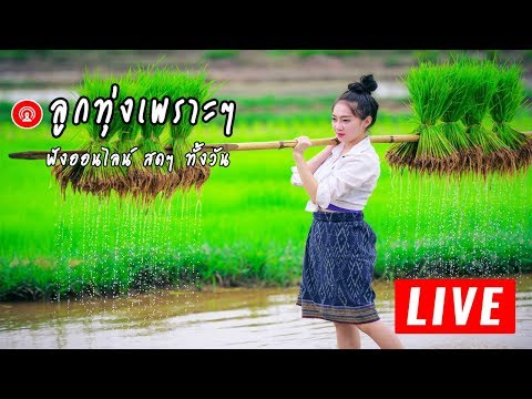 ? LIVE  สด ลูกทุ่งออนไลน์ เพลงลูกทุ่ง เพลงลูกทุ่งฮิตติดชาร์ต ?