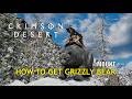 How to Get Grizzly Bear Mount | Crimson Desert