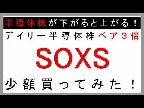 Update デイリー半導体株ベア3倍|SOXSを少額買ってみた!
