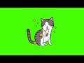 Free Full HD Kitten Green Screen