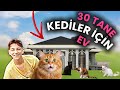 Sokak kedileri için 30'DAN FAZLA ev bıraktım! 🏡🐱